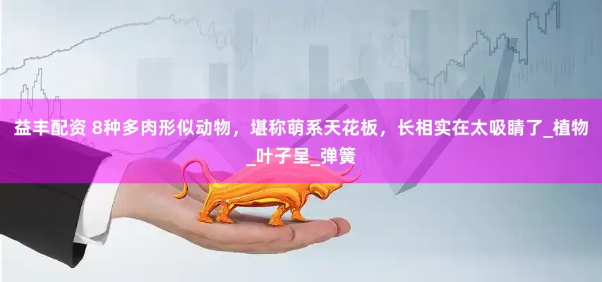 益丰配资 8种多肉形似动物，堪称萌系天花板，长相实在太吸睛了_植物_叶子呈_弹簧