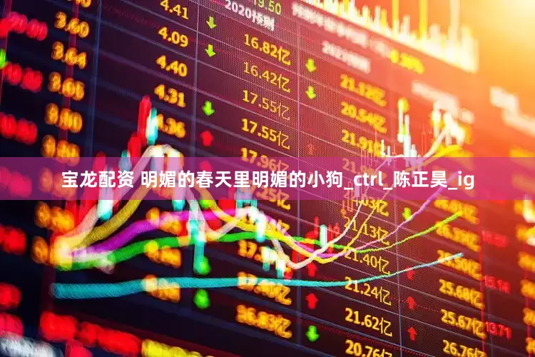 宝龙配资 明媚的春天里明媚的小狗_ctrl_陈正昊_ig