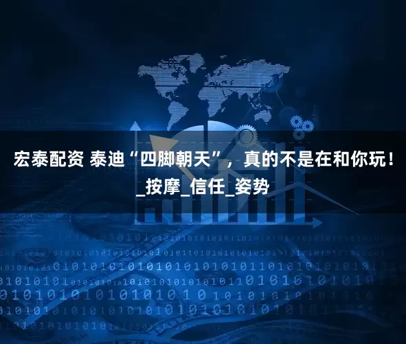 宏泰配资 泰迪“四脚朝天”，真的不是在和你玩！_按摩_信任_姿势