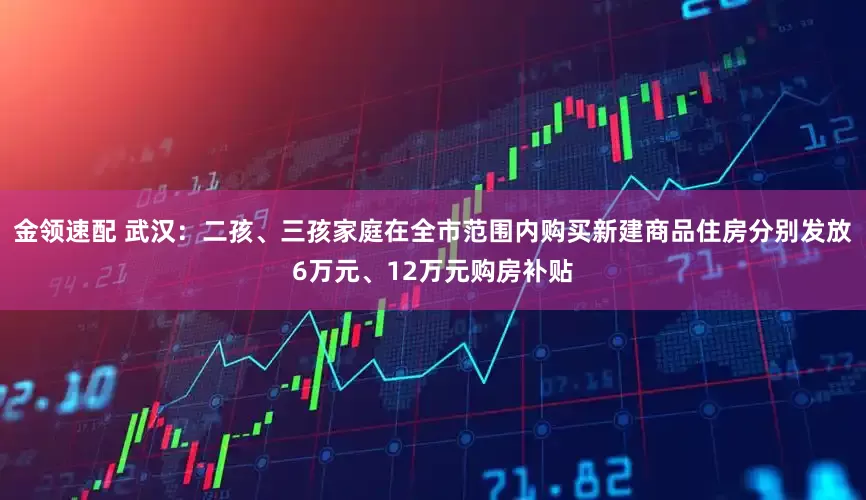 金领速配 武汉：二孩、三孩家庭在全市范围内购买新建商品住房分别发放6万元、12万元购房补贴