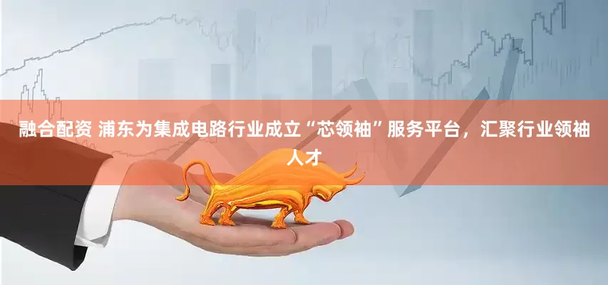 融合配资 浦东为集成电路行业成立“芯领袖”服务平台，汇聚行业领袖人才