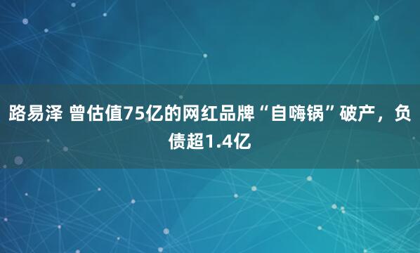 路易泽 曾估值75亿的网红品牌“自嗨锅”破产，负债超1.4亿