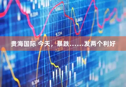 贵海国际 今天，暴跌……发两个利好